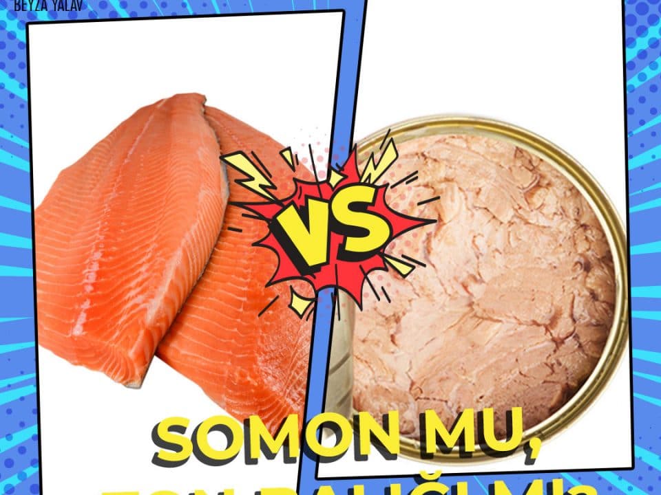 Somon mu, Ton Balığı mı?