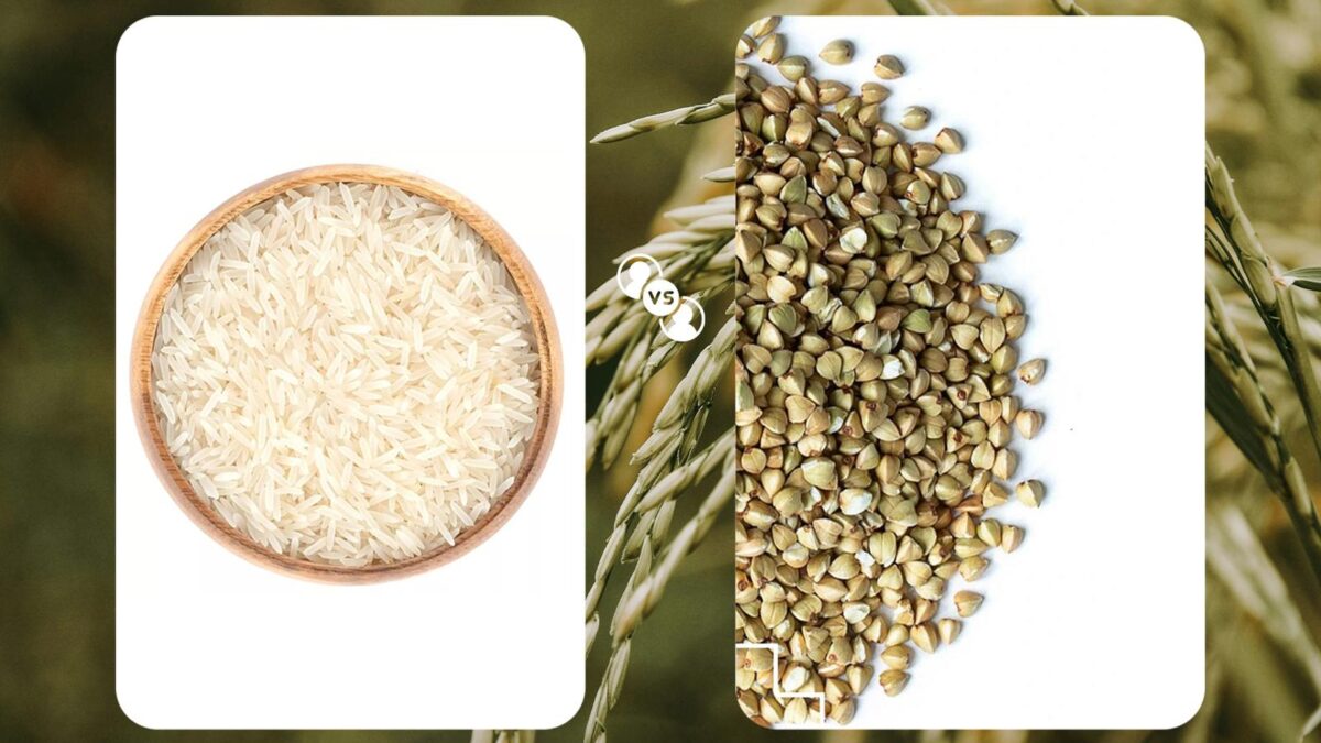 BASMATİ Mİ, KARABUĞDAY MI? SAĞLIKLI BESLENME İÇİN HANGİSİ DAHA İYİ? BASMATİ Mİ, KARABUĞDAY MI? SAĞLIKLI BESLENME İÇİN HANGİSİ DAHA İYİ?